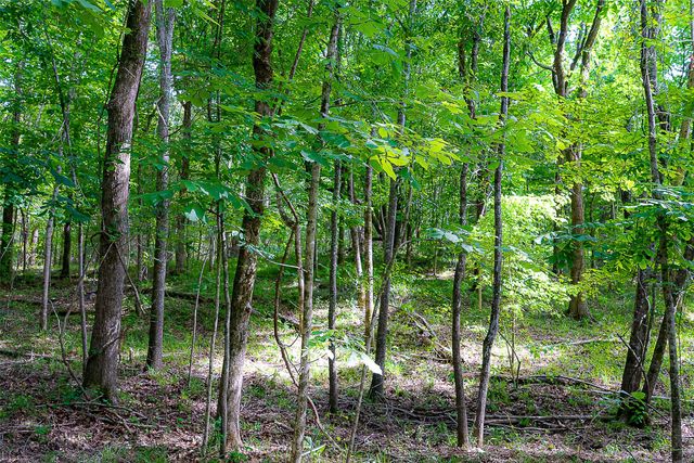 00 Off of Farm to Market Road 2064, Troup, TX 75789