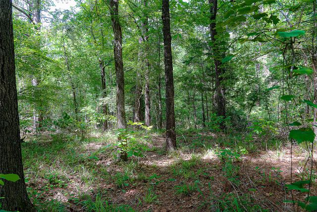 00 Off of Farm to Market Road 2064, Troup, TX 75789