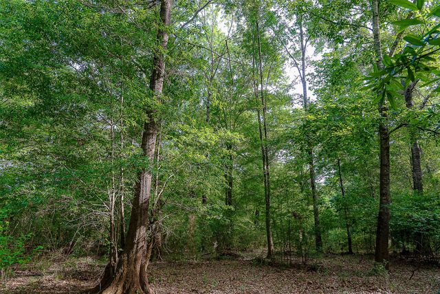 00 Off of Farm to Market Road 2064, Troup, TX 75789