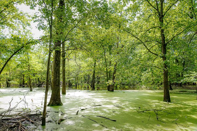 00 Off of Farm to Market Road 2064, Troup, TX 75789