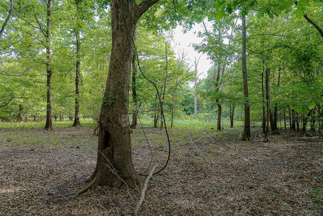 00 Off of Farm to Market Road 2064, Troup, TX 75789