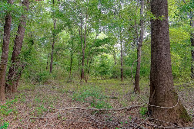 00 Off of Farm to Market Road 2064, Troup, TX 75789
