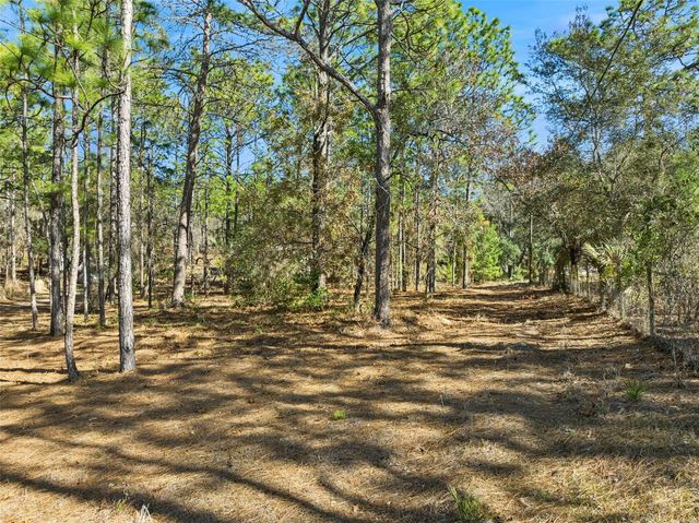 6471 N KHYBER AVENUE, Dunnellon, FL 34433