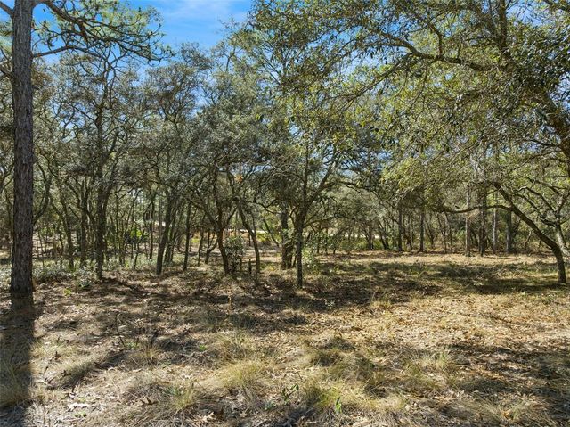 6471 N KHYBER AVENUE, Dunnellon, FL 34433