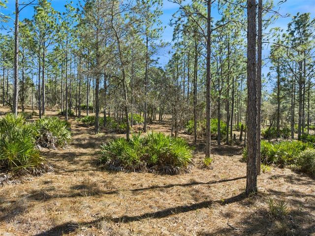 6471 N KHYBER AVENUE, Dunnellon, FL 34433