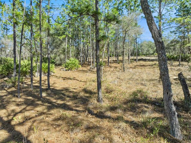 6471 N KHYBER AVENUE, Dunnellon, FL 34433