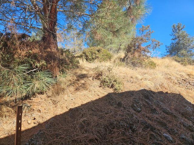 5470 Marshall Rd, Garden Valley, CA 95633