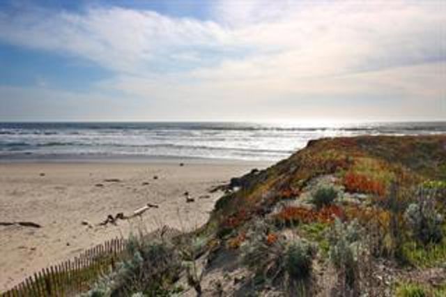 53 Pelican, Watsonville, CA 95076