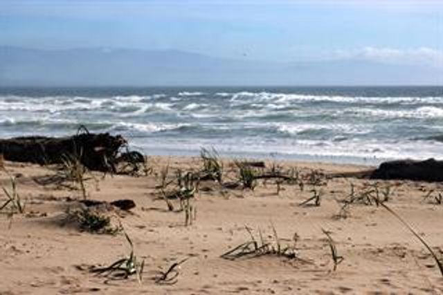 53 Pelican, Watsonville, CA 95076