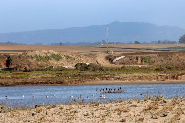 53 Pelican, Watsonville, CA 95076