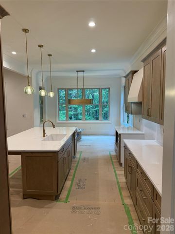 1424 N Double Knob Loop, Arden, NC 28704