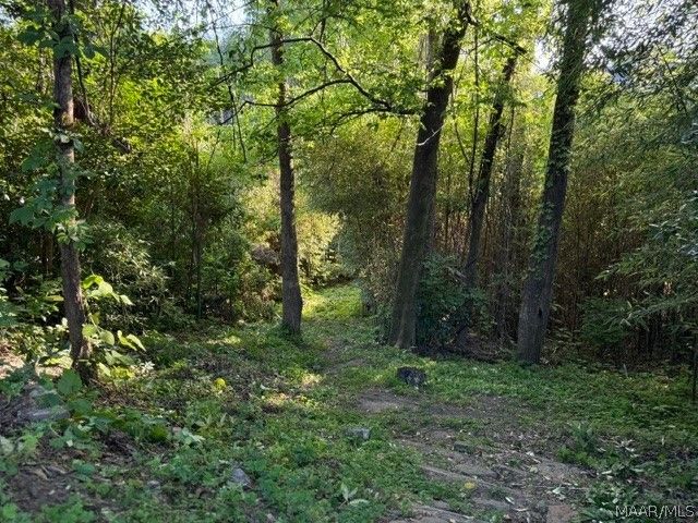 209 Dozier Street, Wetumpka, AL 36092