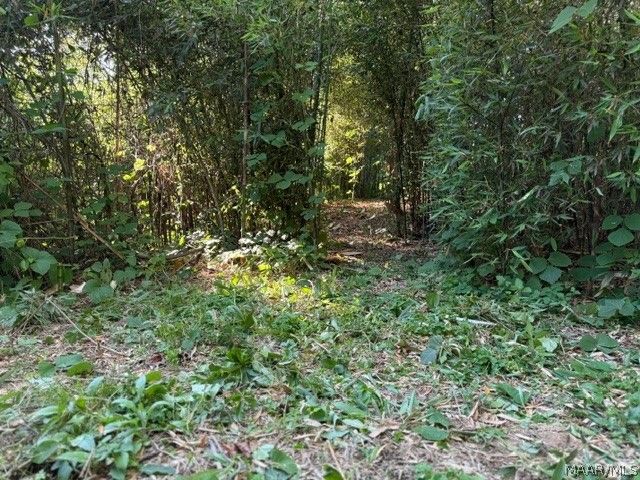 209 Dozier Street, Wetumpka, AL 36092