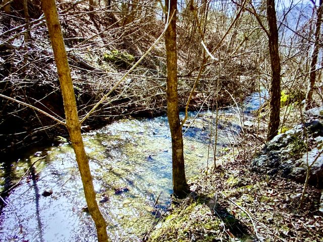 68 Star Gap Road, Stanton, KY 40380