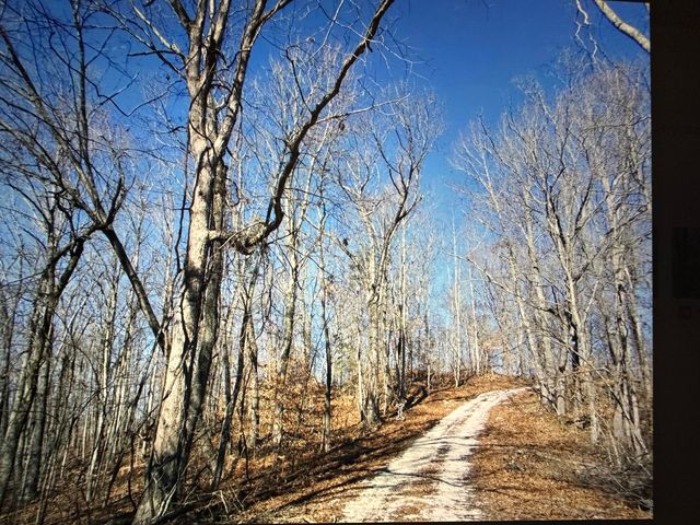 68 Star Gap Road, Stanton, KY 40380