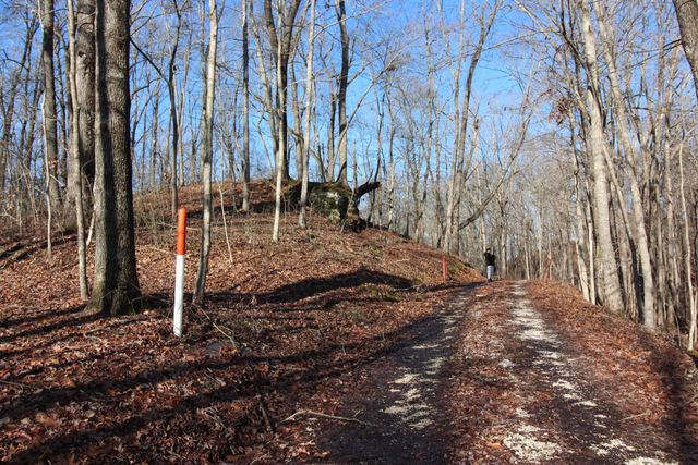 68 Star Gap Road, Stanton, KY 40380