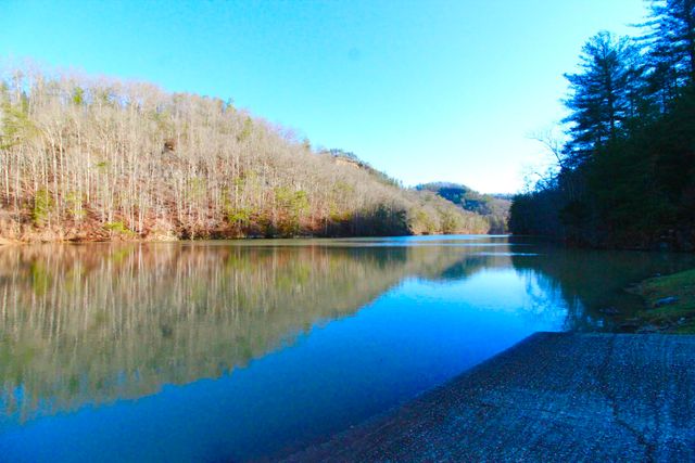 68 Star Gap Road, Stanton, KY 40380