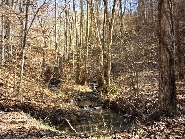 68 Star Gap Road, Stanton, KY 40380