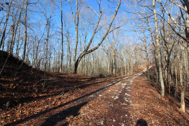 68 Star Gap Road, Stanton, KY 40380