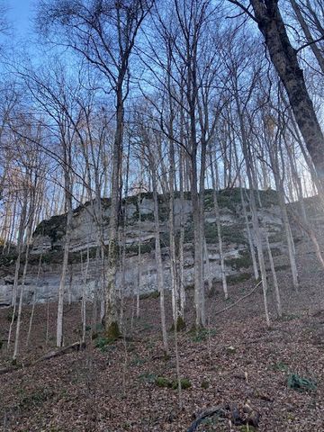 68 Star Gap Road, Stanton, KY 40380