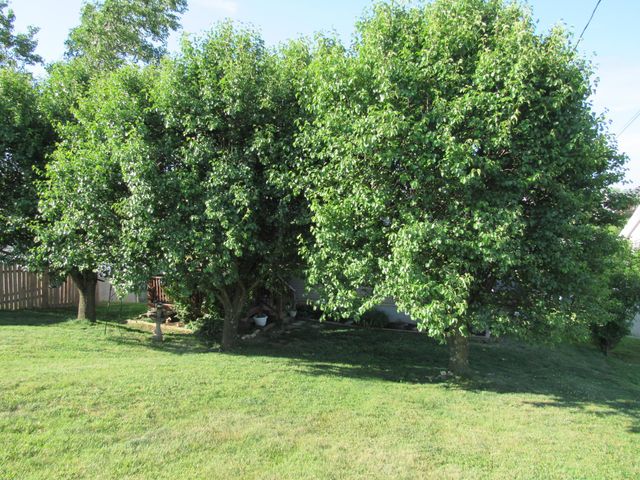 311 Geronimo Court, Winchester, KY 40391