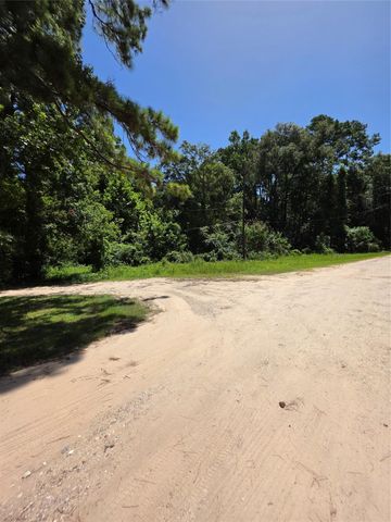 9739 Lakeview Drive, Houston, TX 77365