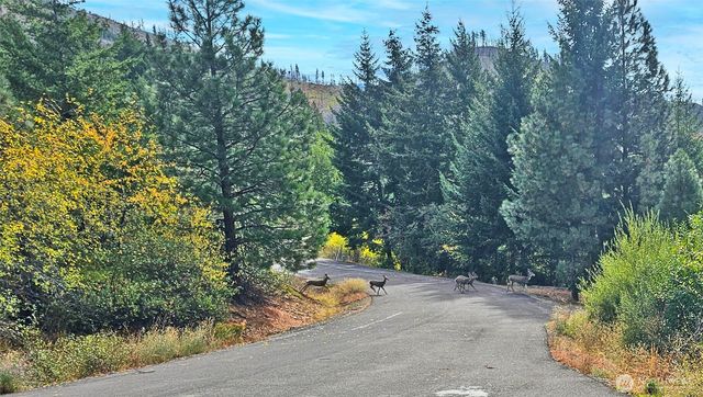 0 Lot B Grandview Road, Ronald, WA 98940