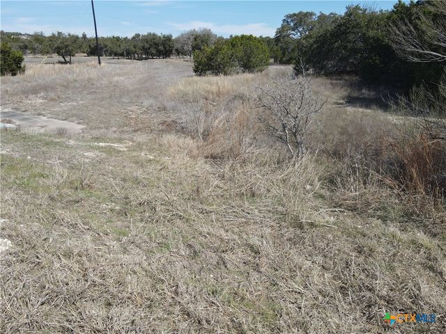 111 Dodder Lane, Spring Branch, TX 78070
