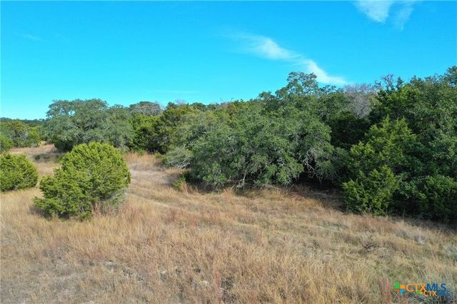111 Dodder Lane, Spring Branch, TX 78070