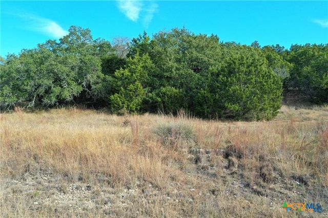 111 Dodder Lane, Spring Branch, TX 78070