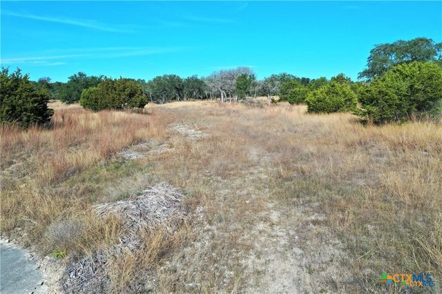 111 Dodder Lane, Spring Branch, TX 78070