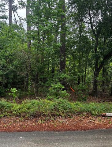 0 Lakelane Drive, Houston, TX 77338