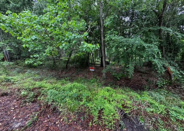 0 Lakelane Drive, Houston, TX 77338