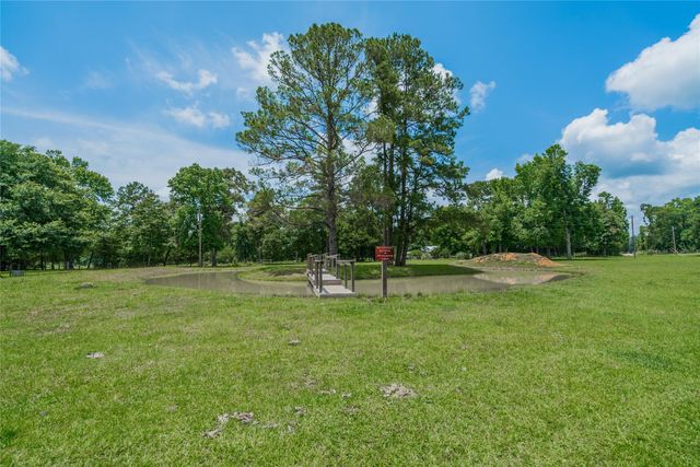 1003 Ellisor Road, New Waverly, TX 77358