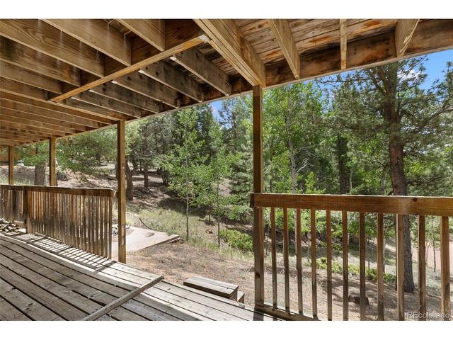 124 Cradle Lake Dr, Divide, CO 80814