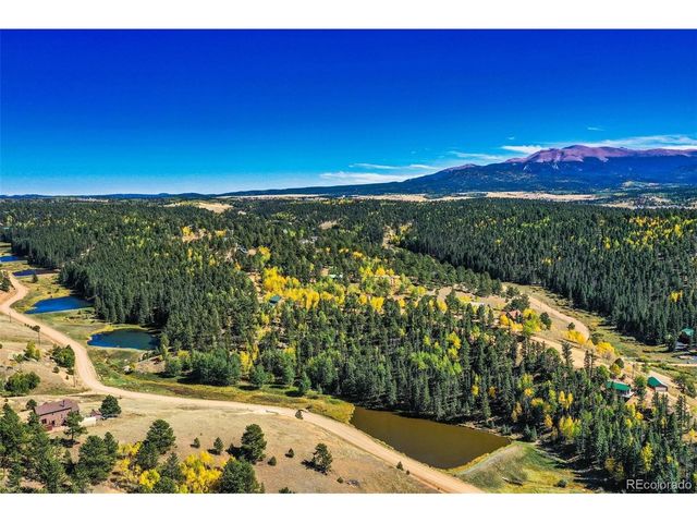 124 Cradle Lake Dr, Divide, CO 80814