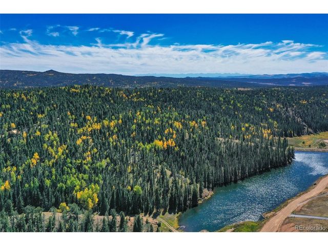 124 Cradle Lake Dr, Divide, CO 80814