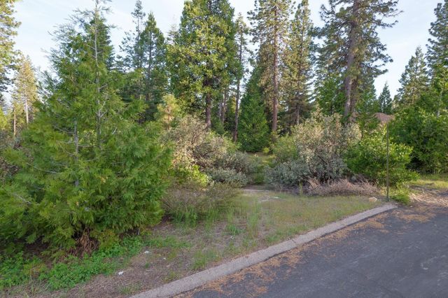0 Leopard Lilly Ln, Shaver Lake, CA 93664