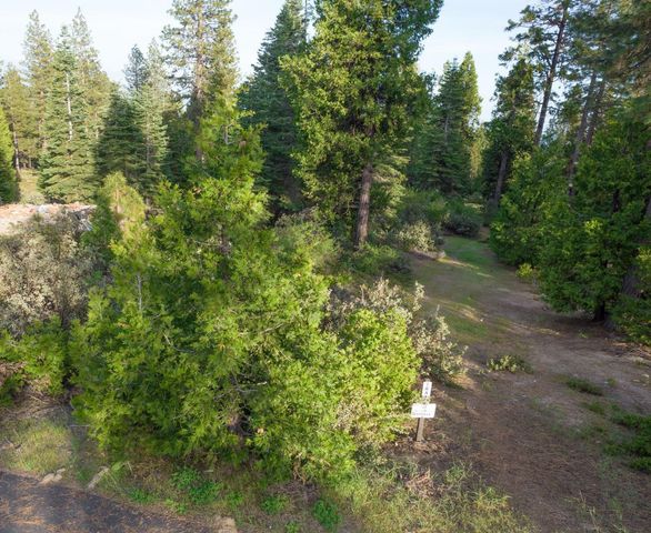 0 Leopard Lilly Ln, Shaver Lake, CA 93664