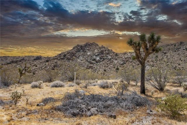 9073 Tortuga Trail, Joshua Tree, CA 92252