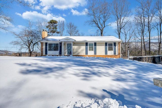 135 Silverbirch DR, Blue Ridge, VA 24064