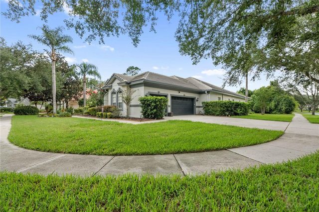 21127 LAKE VIENNA DRIVE, Land O Lakes, FL 34638