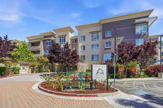 1101 S Main Street 316, Milpitas, CA 95035