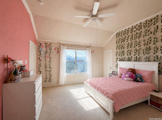 7537 Steeple, San Antonio, TX 78256