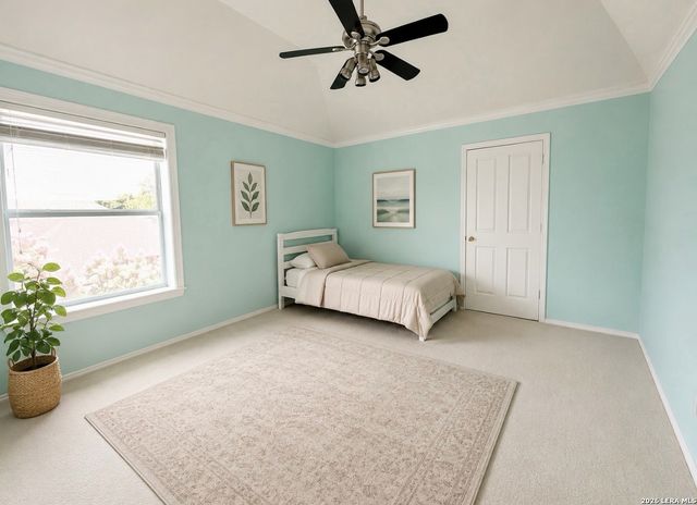 7537 Steeple, San Antonio, TX 78256