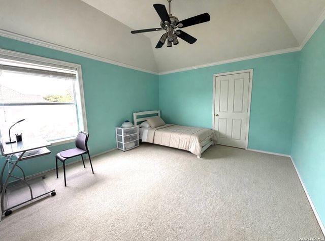 7537 Steeple, San Antonio, TX 78256