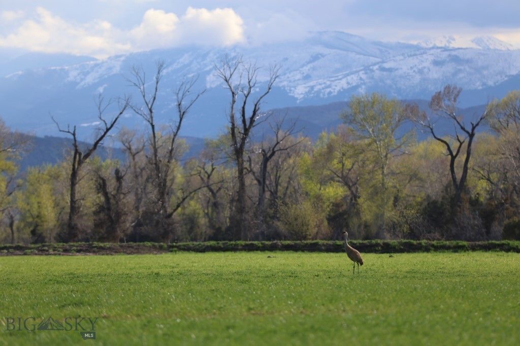 5211 Old Yellowstone Trail, Three Forks, MT 59752 photo 12