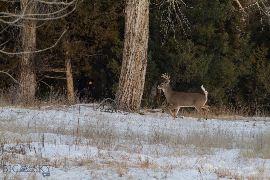 5211 Old Yellowstone Trail, Three Forks, MT 59752 photo 13