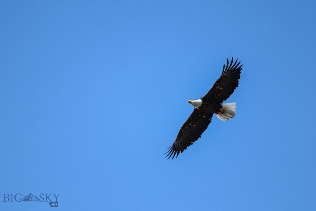 5211 Old Yellowstone Trail, Three Forks, MT 59752 photo 14