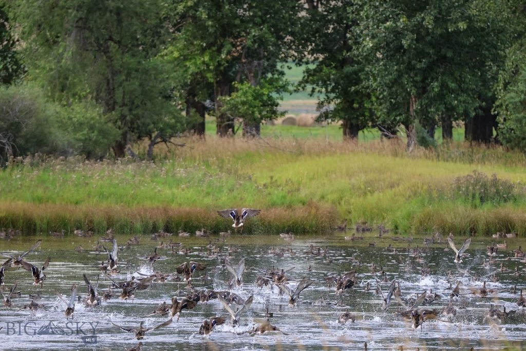 5211 Old Yellowstone Trail, Three Forks, MT 59752 photo 16
